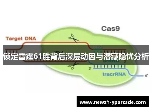 锁定雷霆61胜背后深层动因与潜藏隐忧分析