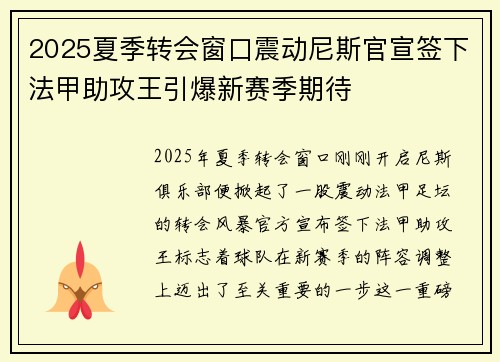 2025夏季转会窗口震动尼斯官宣签下法甲助攻王引爆新赛季期待